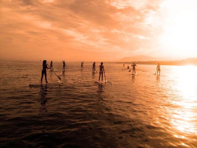 Marbella: Stand-Up Paddle Board at Sunset - What to Expect from the Sunset Paddle Board Tour