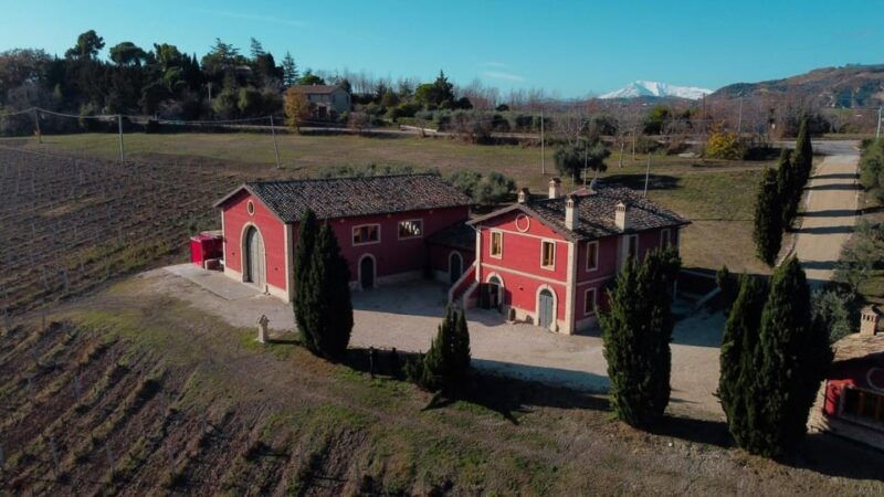 marche-unique-visit-and-tasting-at-derasmo-winery-among-signature-wines