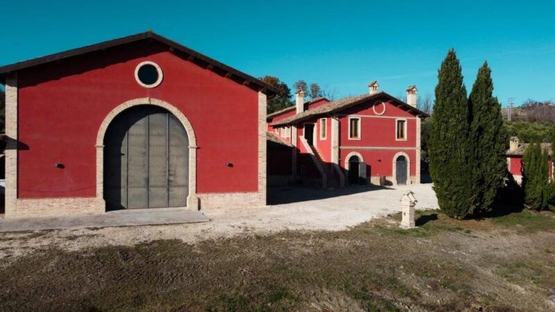 marche-unique-visit-and-tasting-at-derasmo-winery-among-signature-wines