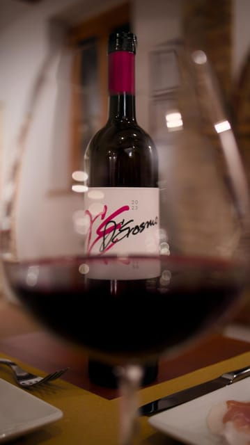 marche-unique-visit-and-tasting-at-derasmo-winery-among-signature-wines