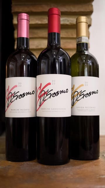 marche-unique-visit-and-tasting-at-derasmo-winery-among-signature-wines