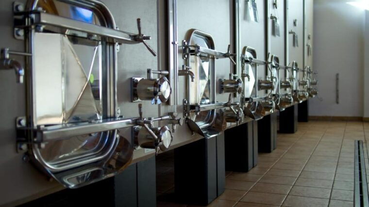 marche-unique-visit-and-tasting-at-derasmo-winery-among-signature-wines