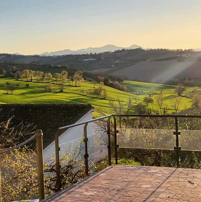 Marche Wines: Explore the Richness of Local Flavors - Marche Wines: Explore the Richness of Local Flavors