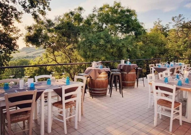 Marche Wines: Explore the Richness of Local Flavors - The Wines: A Tasting of Top Regional Labels