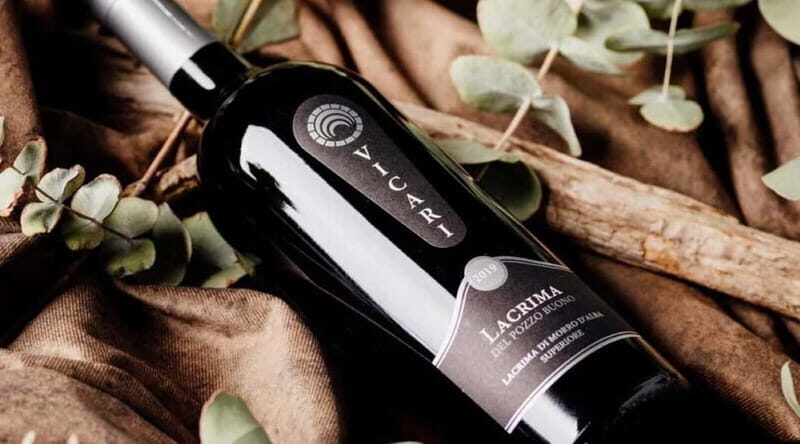 Marche Wines: Explore the Richness of Local Flavors - Who Will Love This Experience?
