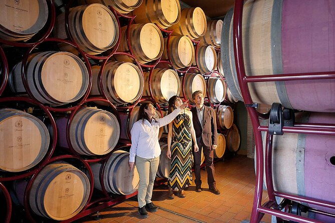 marchesale-wine-tasting-and-tour-in-bolgheri-retrospective