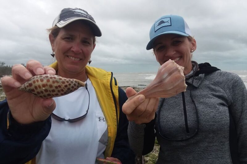 Marco Island: 10,000 Islands Shelling Boat Tour - Wildlife & Ecosystem Insights