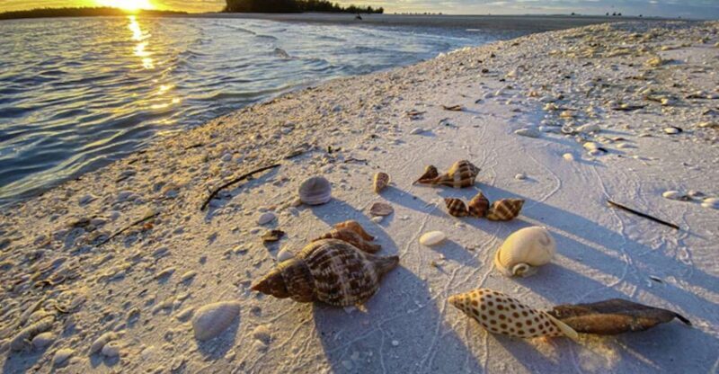 Marco Island: 2 Private Hour Sunset Boat Tour - Key Points