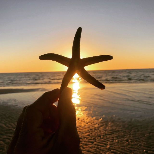 marco-island-2-private-hour-sunset-boat-tour