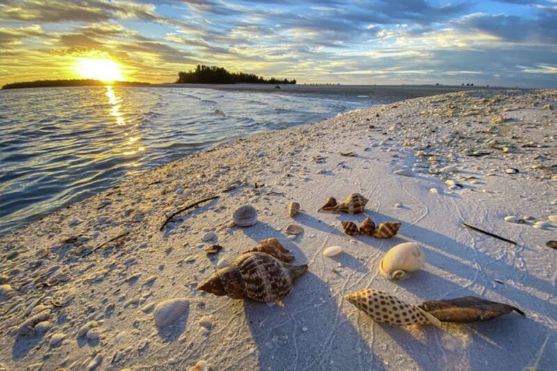 marco-island-2-private-hour-sunset-boat-tour