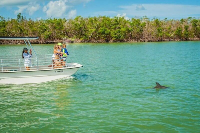 marco-island-dolphin-watching-boat-tour
