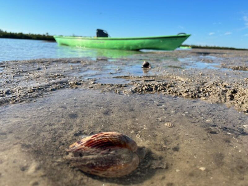marco-island-mangrove-maze-kayak-tour-2hrs