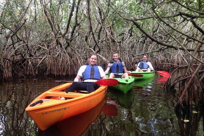 marco-island-mangrove-tunnel-and-maze-adventure-small-group-size