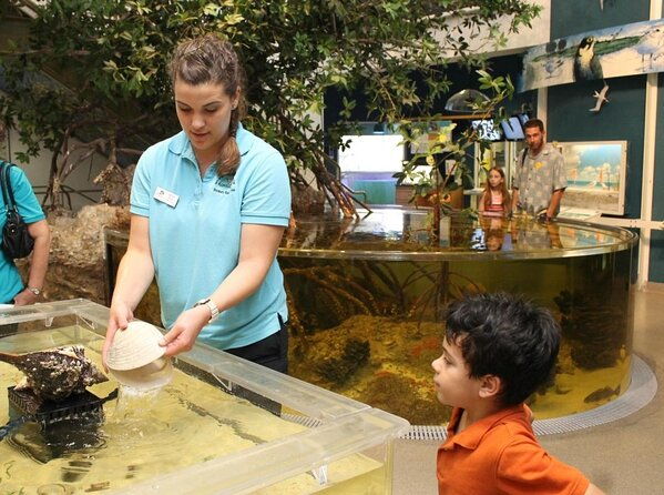 marco-island-mangrove-tunnel-and-maze-adventure-small-group-size