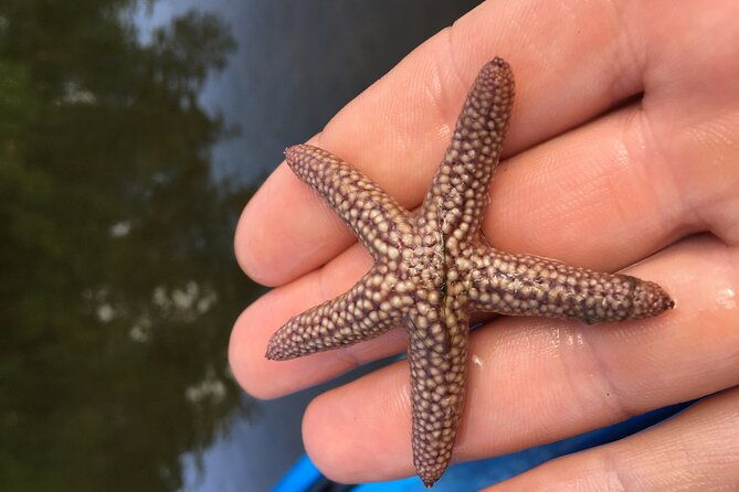 marco-island-mangrove-tunnel-and-maze-adventure-small-group-size