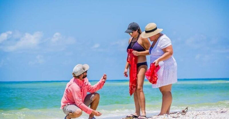 marco-island-shelling-and-sightseeing-boat-cruise