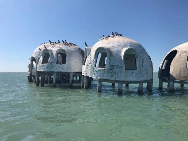 Marco Island: Ten Thousand Islands Shelling & Dolphin Tour - Frequently Asked Questions