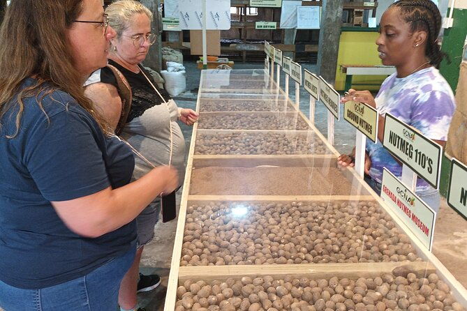 mardi-gra-spice-necklace-full-day-island-tour