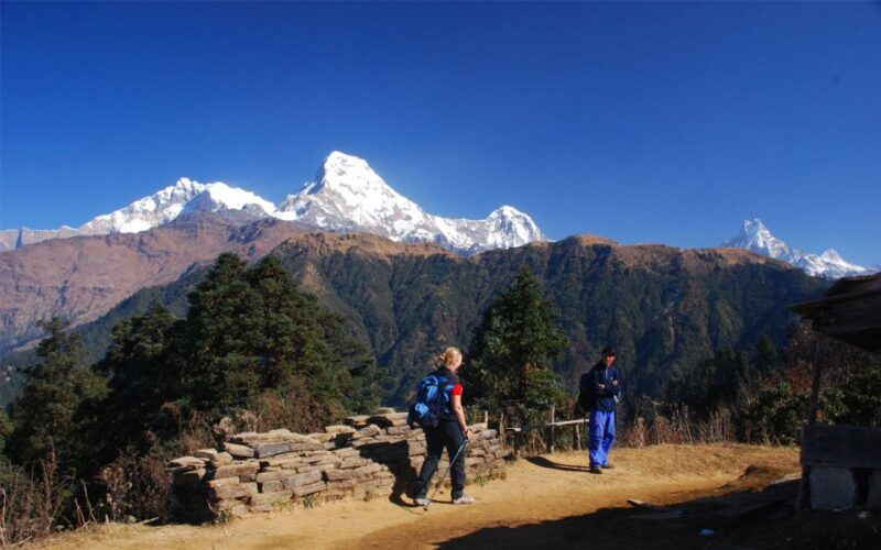 mardi-himal-base-camp-yoga-trek-7-day