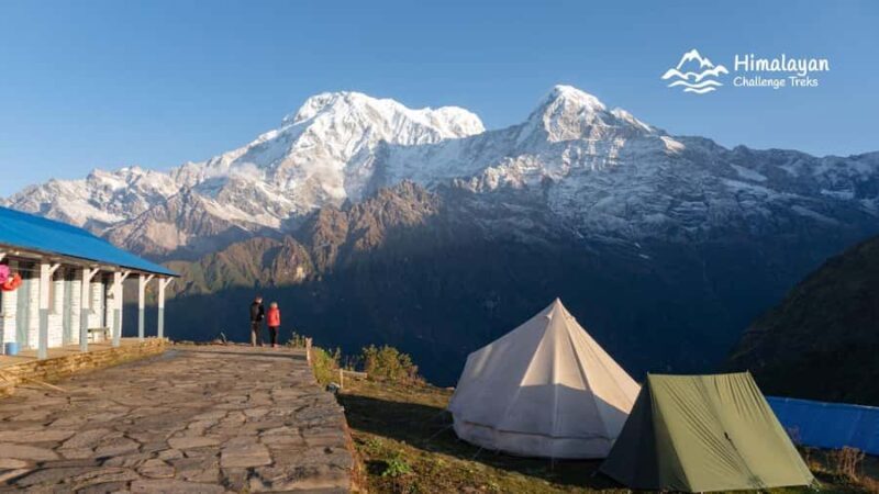 Mardi Himal Trek in 7 Days where Solitude Meets the Peak - An In-Depth Look at the Mardi Himal Trek Experience