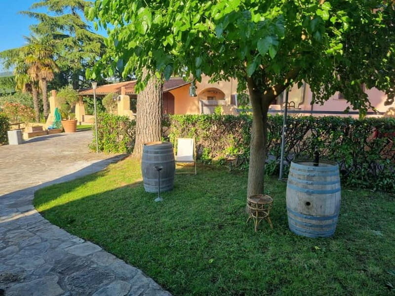 Maremma: oil and wine tasting with dinner - Key Points