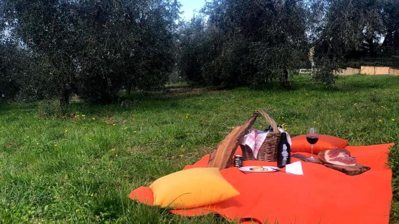 Maremma: oil and wine tasting with dinner - Final Thoughts