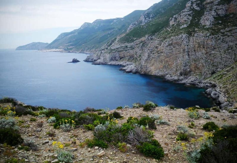 Marettimo: cruise from Trapani w/lunch and visit the caves - Coastal Tour & Snorkeling Opportunities