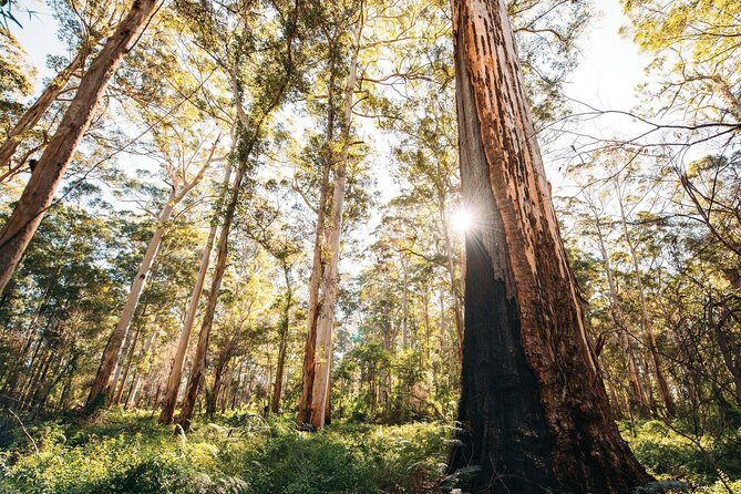 Margaret River 3 Day Escape - A Closer Look at the Itinerary
