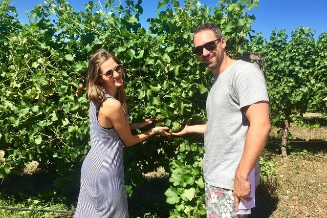 Margaret River Beer & Wine Adventure (departs Dunsborough/Busselton) - FAQs  
