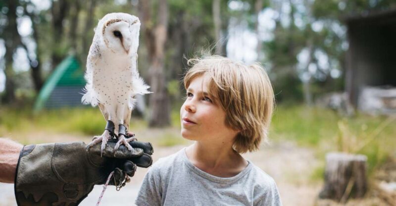 Margaret River: Birds of Prey Encounter and Forest Walk - Key Points