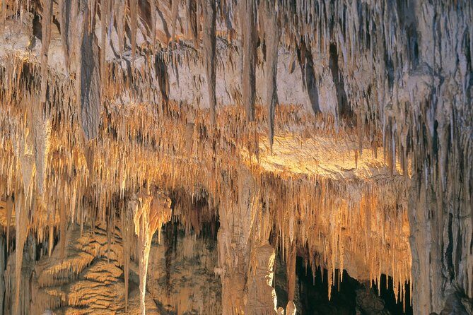 Margaret River, Caves, Wine and Cape Leeuwin Lighthouse Tour from Perth - The Full-Day Experience: What to Expect