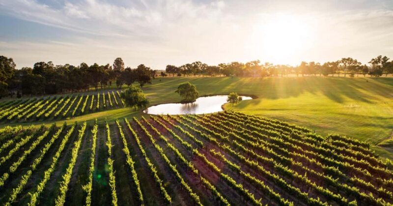Margaret River, Chocolate, Wine & Coast Day Trip from Perth - Key Points