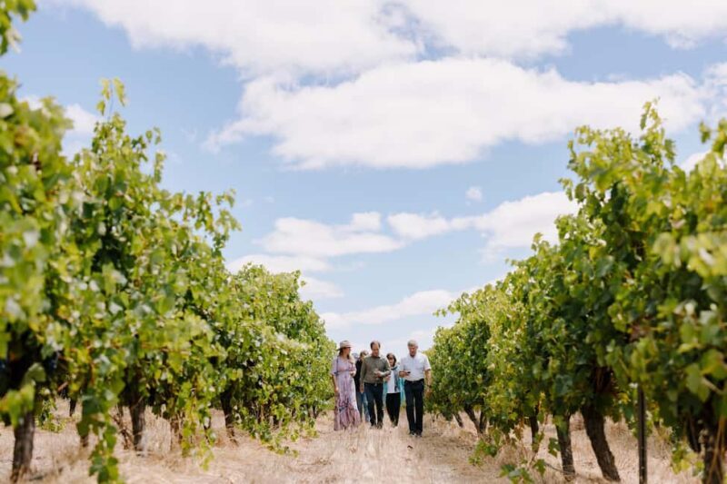 Margaret River, Chocolate, Wine & Coast Day Trip from Perth - The Sum Up