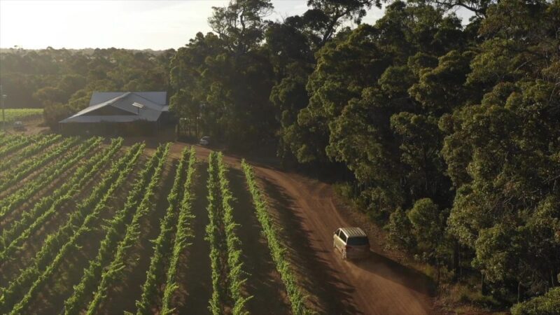 Margaret River Full-Day Wine, Local Produce & Nature Tour - Key Points