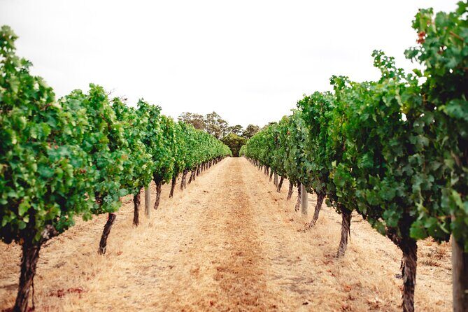 Margaret River Icons Tour Hosted by Regional Expert - FAQ