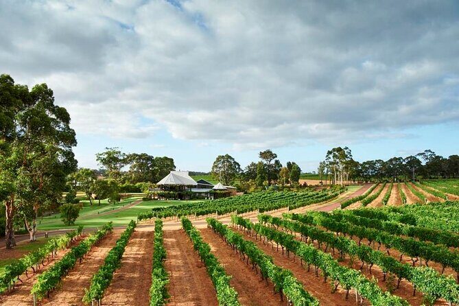 Margaret River Icons Tour Hosted by Regional Expert - Final Thoughts