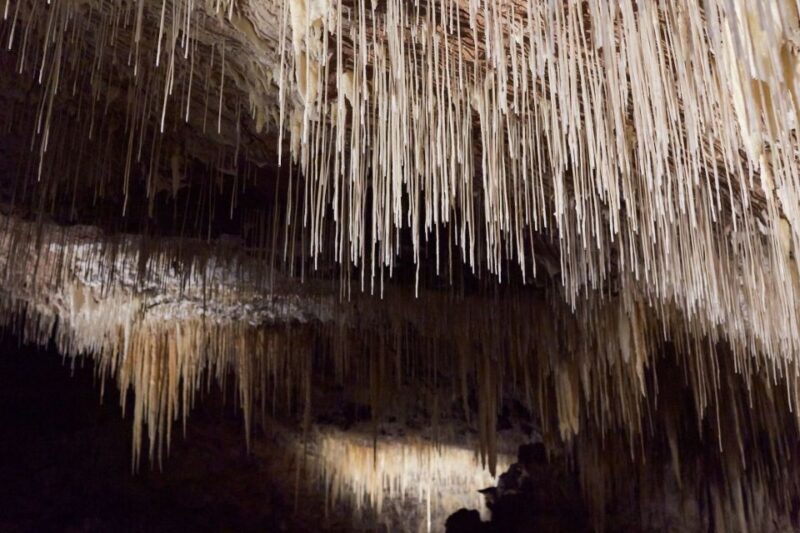 Margaret River: Lake Cave Fully-Guided Tour - The Sum Up: Is the Lake Cave Tour Worth It?