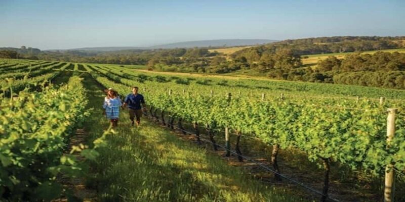 Margaret River Private Day Tour from Perth - What to Expect from the Margaret River Private Day Tour