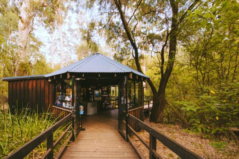 Margaret River: Self-Guided Audio Tour of Mammoth Cave - What to Expect from the Tour