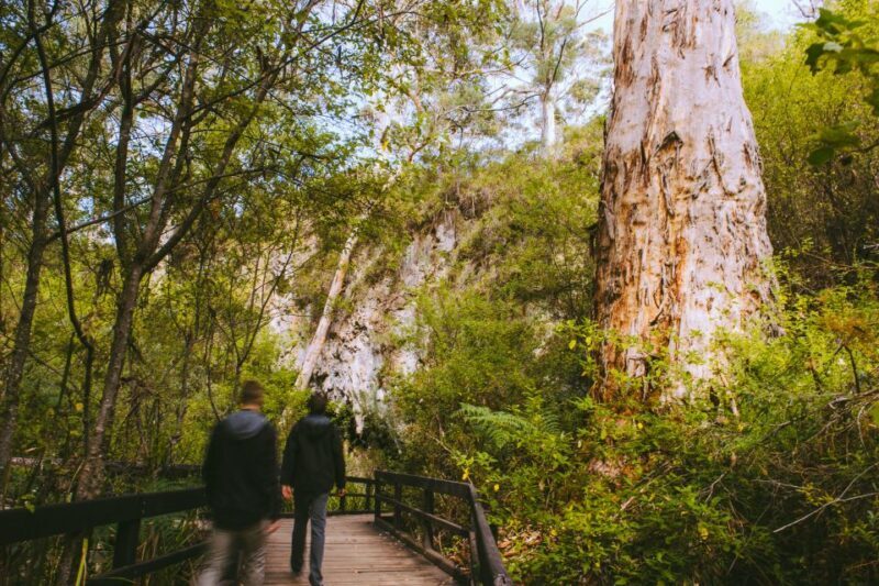 Margaret River: Self-Guided Audio Tour of Mammoth Cave - Final Thoughts