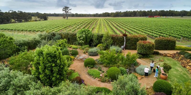 Margaret River: Whicher Ridge Immersive Wine Experience - Key Points