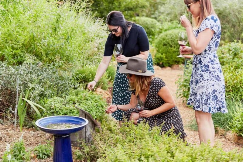 Margaret River: Whicher Ridge Immersive Wine Experience - The Sum Up