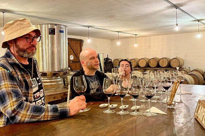 margaux-medoc-half-day-private-tour-in-a-classic-car