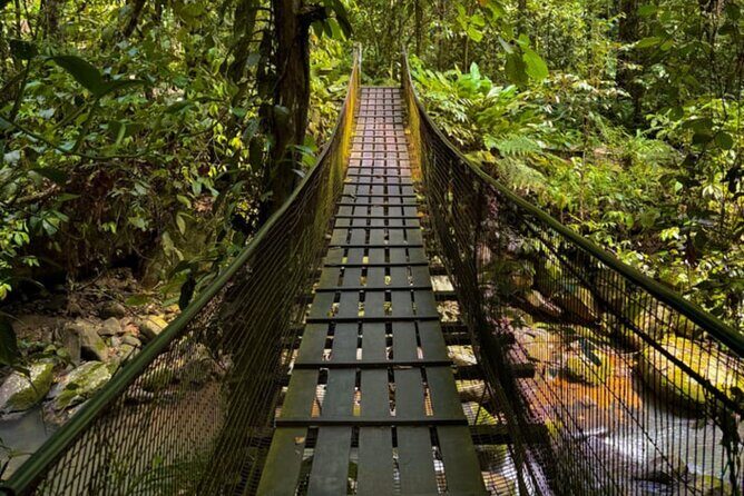 Mari Mari Cultural Village Tour with Transport, Guide and Lunch - Why This Tour Works Well for Different Travelers