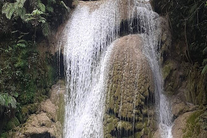 maria-and-miguels-stop-and-the-limon-waterfall-tour-from-samana
