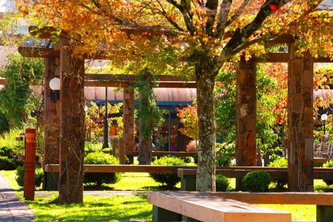 maria-fumaca-train-tour-including-lunch