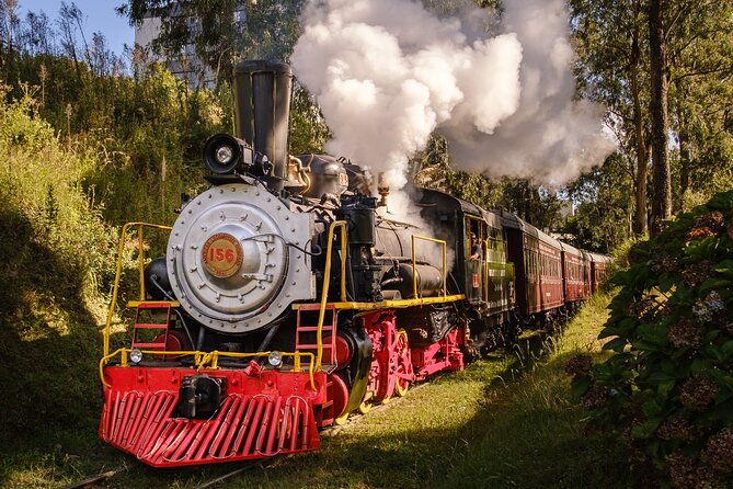 maria-fumaca-wines-and-history