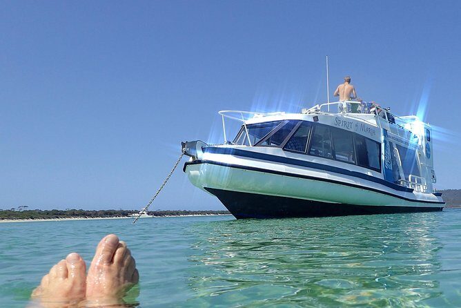 Maria Island Cruise and Guided Walk Day Tour with Lunch and Drinks - What Makes This Tour Stand Out?
