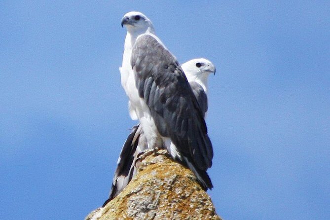Maria Island Cruise and Guided Walk Day Tour with Lunch and Drinks - Final Thoughts