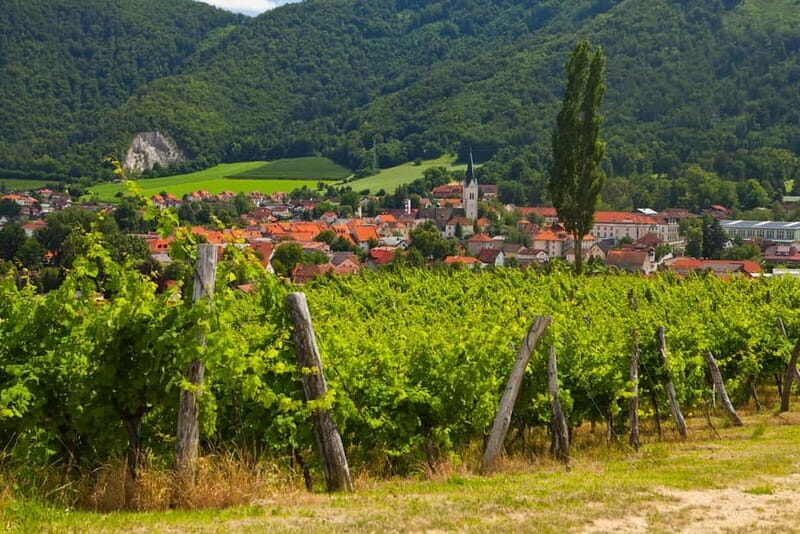 Maribor & Styria Tour with Wine Tasting - The Practical Details